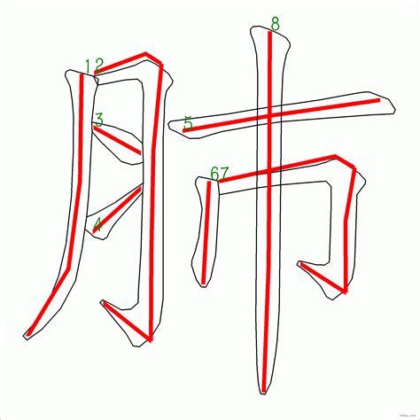 肺筆劃|漢字: 肺的筆畫順序 (“肺”8劃) 